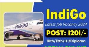Indigo Airlines Job Vacancy 2024