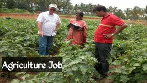 Agriculture Office Recruitment