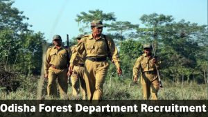 District Forest Department Recruitment