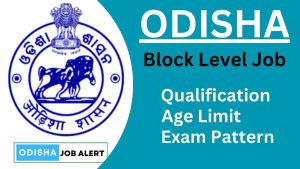 Odisha Block Level Job Vacancy 2024