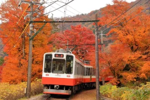 Most Stunning Train Journeys